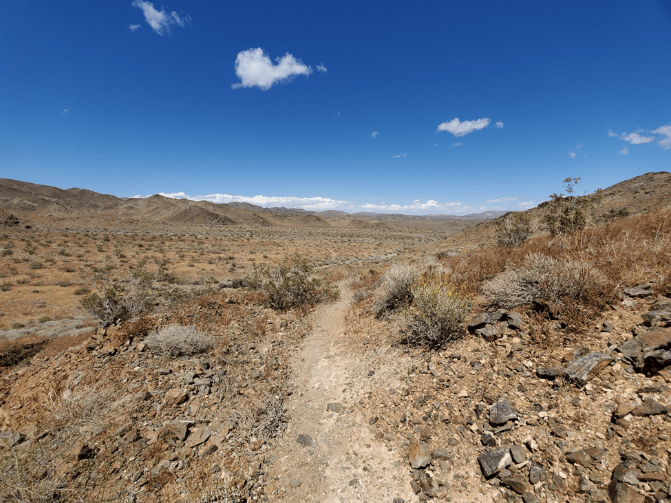 desert